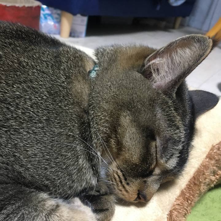 D78b34c6 b7dd 41c5 a6c9 743aa5ab3151 1520090999886