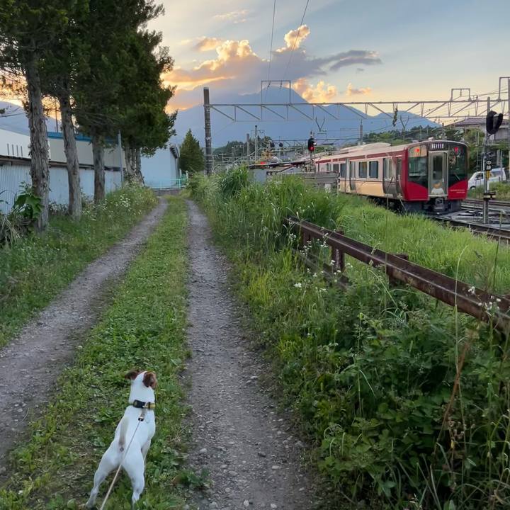 D78b757b 5442 40e2 8200 d675b14448d3 1656671783537