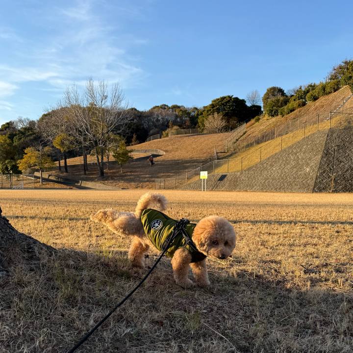 D78b8bed e4bf 47b7 bd6c 27d369f4fadf 1770632460501