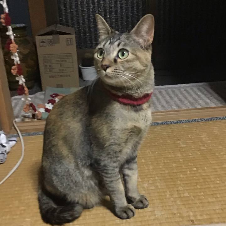 D78ba47d c6fd 426a 8478 6a4daf93fa9e 1608807611673