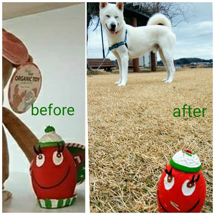 D78ba5d5 5263 47fb b56e 84318fba65cd 1545730365090