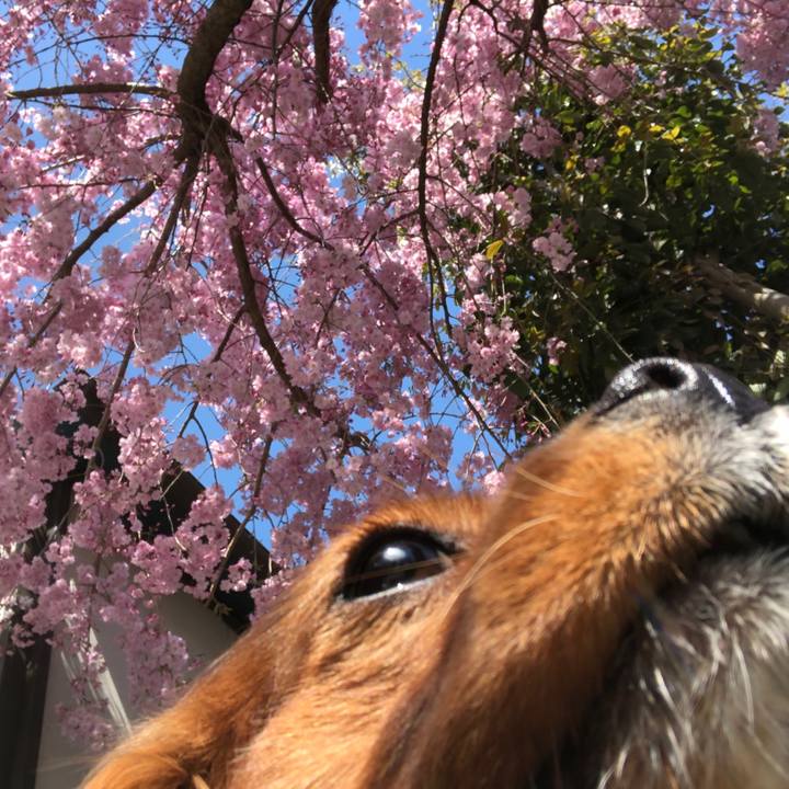 D78bb21a 0751 4f38 825c fde28cf9939c 1586086566180