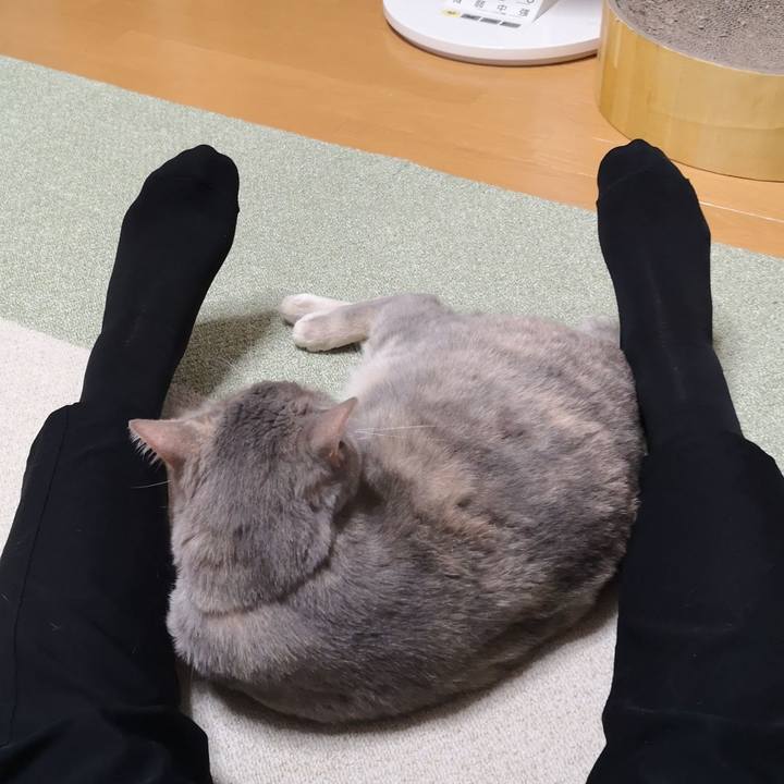 D78c20c9 aa0f 4b1c b569 1f6dbf3720e1 1593785519526