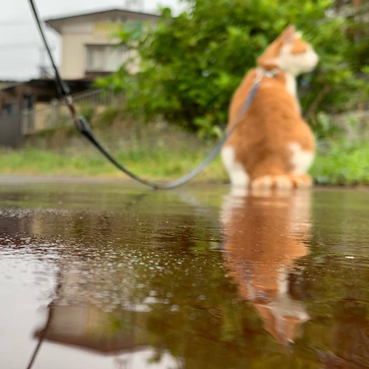 D78c29ca dde2 4283 ae08 b4a6f0ea9751 1628722501426