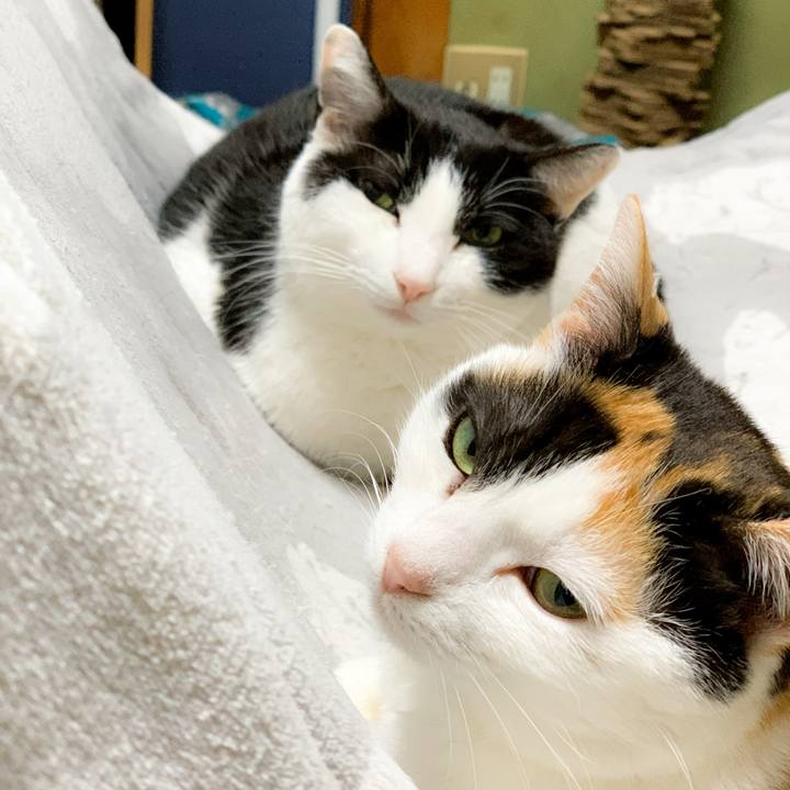 D78c414b 878b 4e05 9424 68b8a8851bce 1589681969694