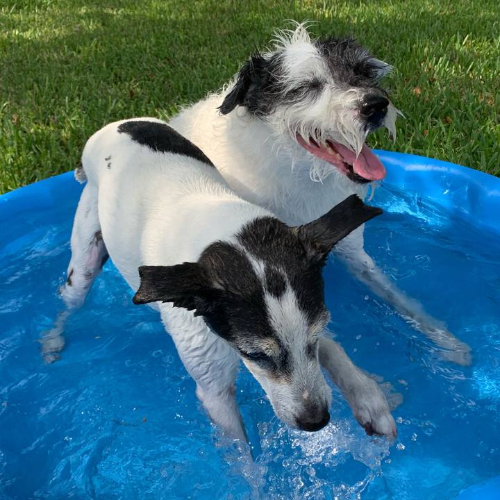 D78c4aa1 4c3f 4096 b67e 30fedc2adefd 1600211757188