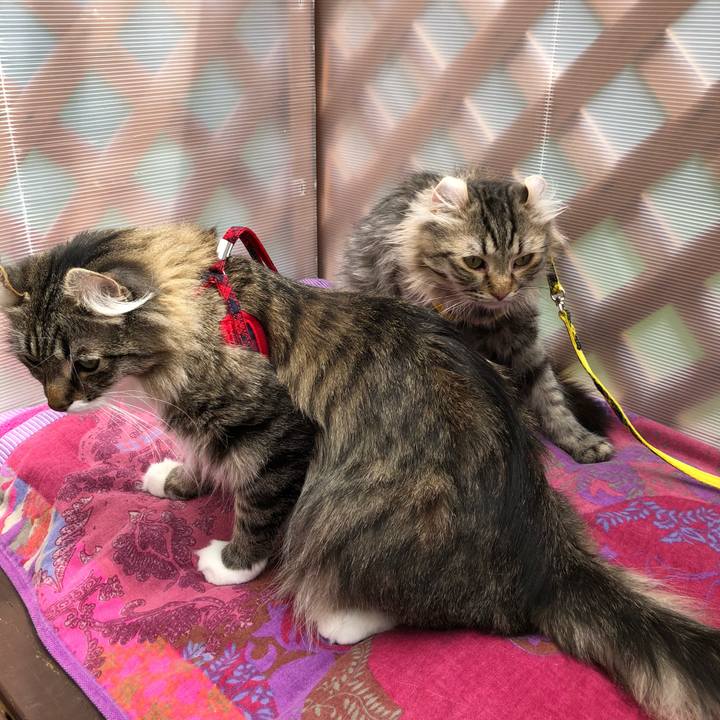 D78c5375 c7cf 4de1 9f91 5fc00ea83b86 1525956496069