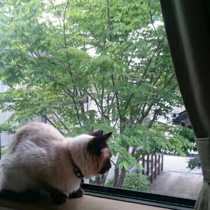 D78c75ee b040 4488 8840 aa410bf1a87e 1526990976137