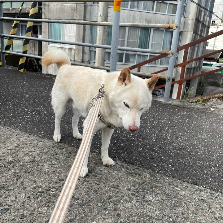 D78c7ee1 90f5 4f56 bcfd 6954a13dfd8a 1636438422385