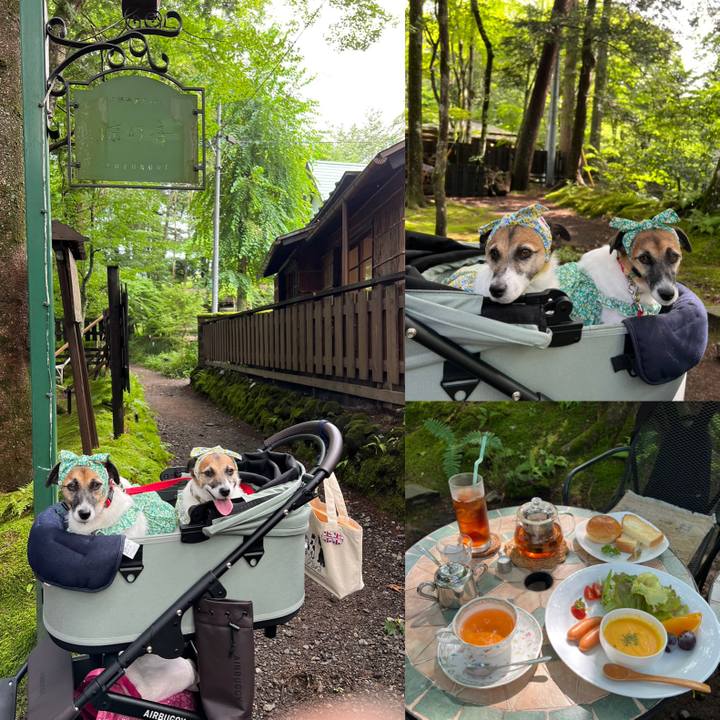 D78cab94 a7af 481d 8e58 e9b218a12ac9 1692698763450