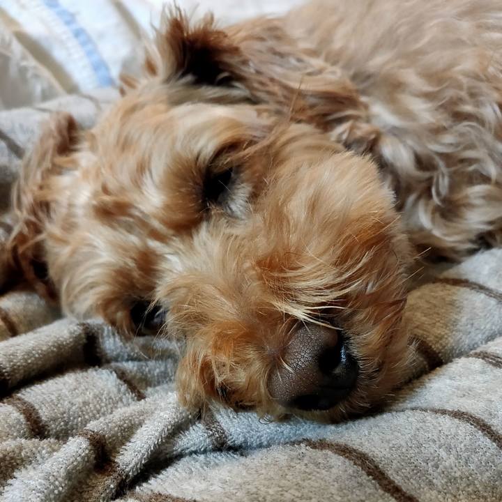 D78cb03d bccf 4964 b74e 599a4c9d89ce 1590405683127