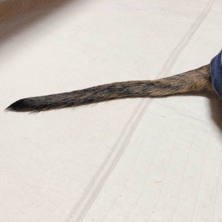 D78cef88 8e70 4a74 a915 bd53b9a491a1 1573626454847