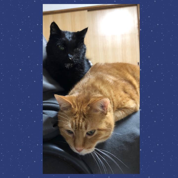 D78cf1d0 fd4c 4298 b395 609bef89a8eb 1646989860441