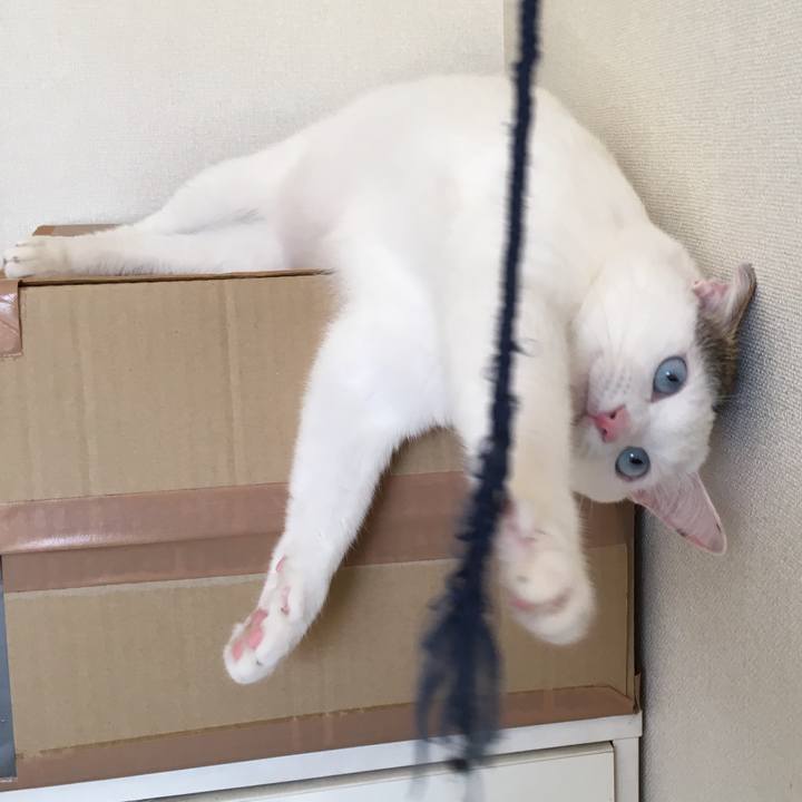 D78cfc30 ead0 4241 aa55 f399bcb1fddd 1523334511734