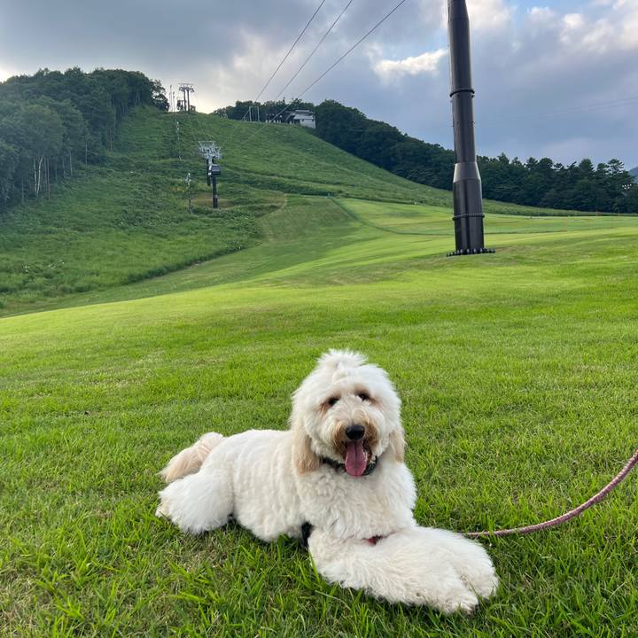 D78d1387 be99 48af 9e63 fe4cacd13ca7 1754211397851