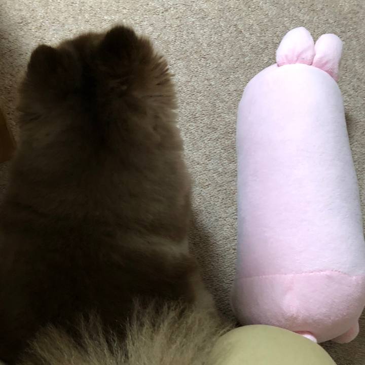 D78d1491 6acf 4a6a b4f2 a3de9df36275 1637652138934