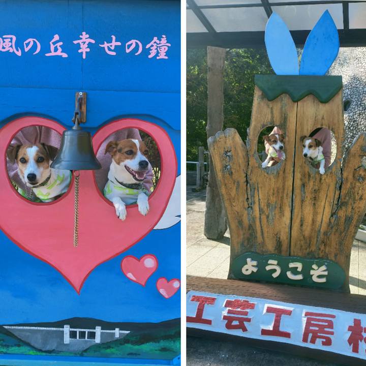 D78d1831 3fc4 47b0 80a4 2c34ba074ffd 1762503081180