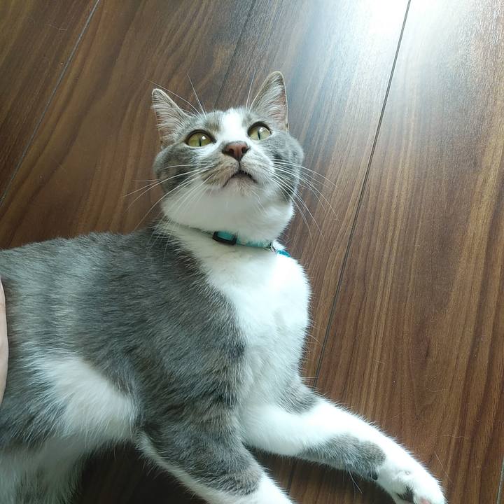 D78d236e 1cf3 4287 ba58 e932bdf833ce 1591742899185