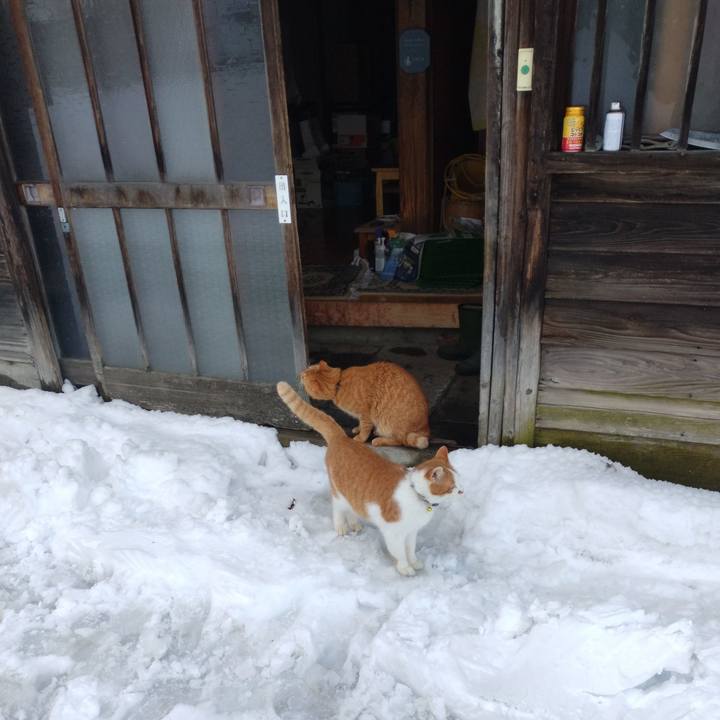 D78d41c5 bd13 4b33 93b8 4626d34d14f0 1767942546552