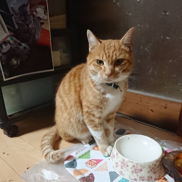 D78d440c 11a1 455f bebc dd3604883302 1605866070485