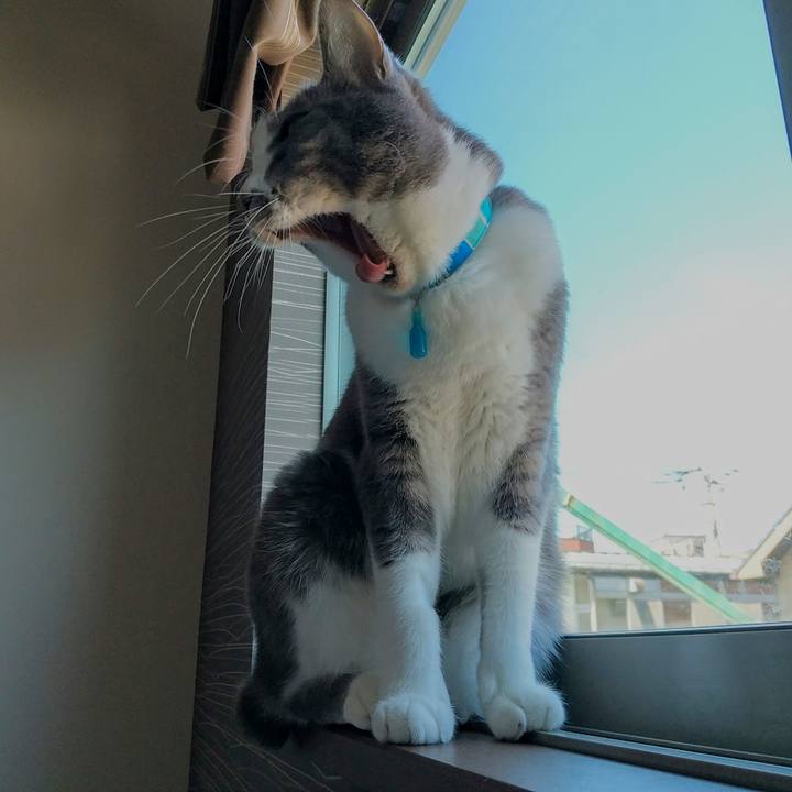 D78d7b0a f446 43ae b3ed 11e73c71d40d 1651547979956