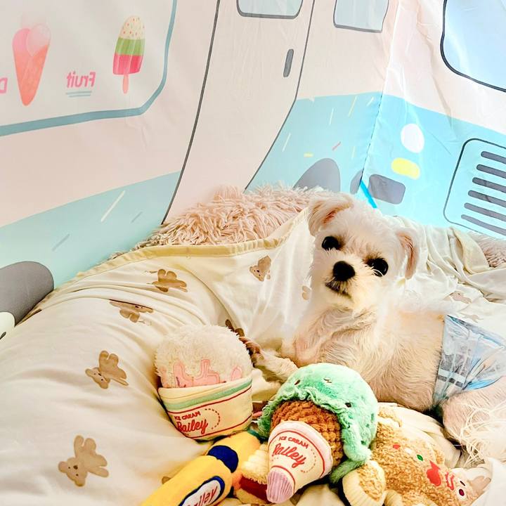 D78da48c a8d3 4cef b935 c0dce7d04666 1689920309271