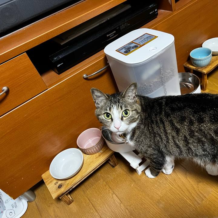 D78de25c ca92 43ca 86ef 98a464a55204 1756382967432