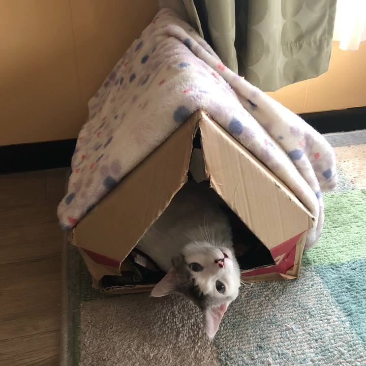 D78e0f24 3f27 4348 87c2 6c6206483731 1590991281795