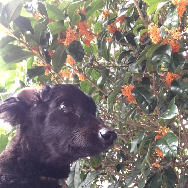 D78e1ae1 301f 42dd bac9 cab08c91fa55 1572560628664