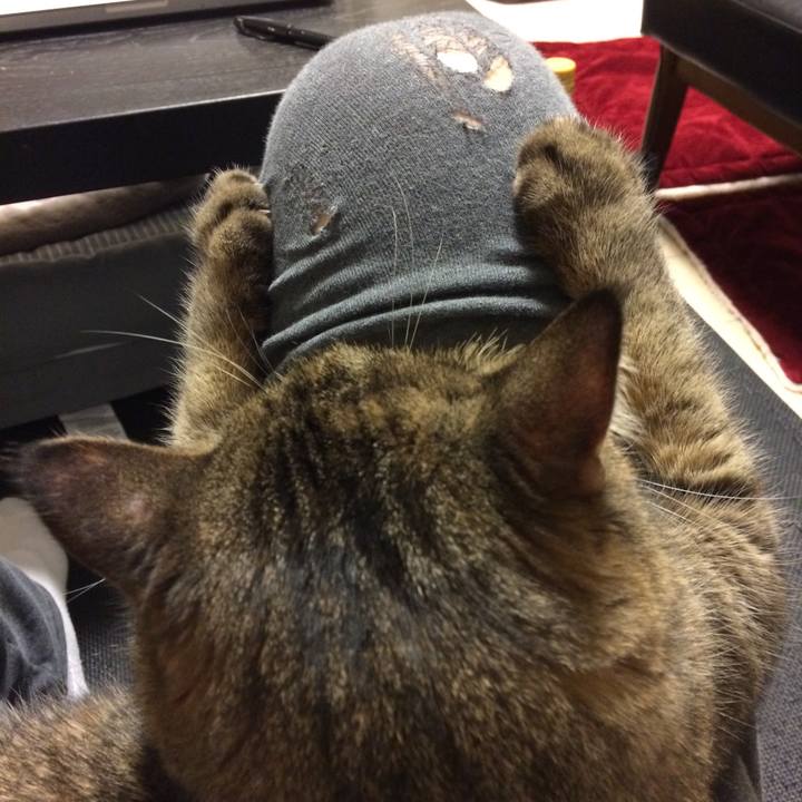 D78e5e5b 9ccb 4fcc 810c b9601bbe53c6 1581942476554