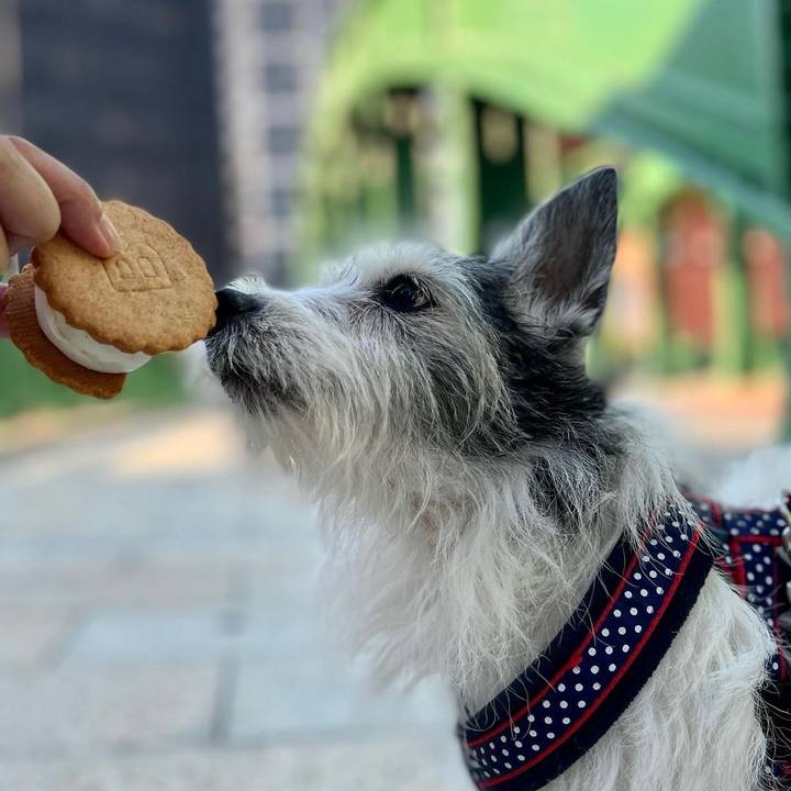 D78ee2ce 44d2 43bb 9dd1 a2b21f4897af 1655041156899