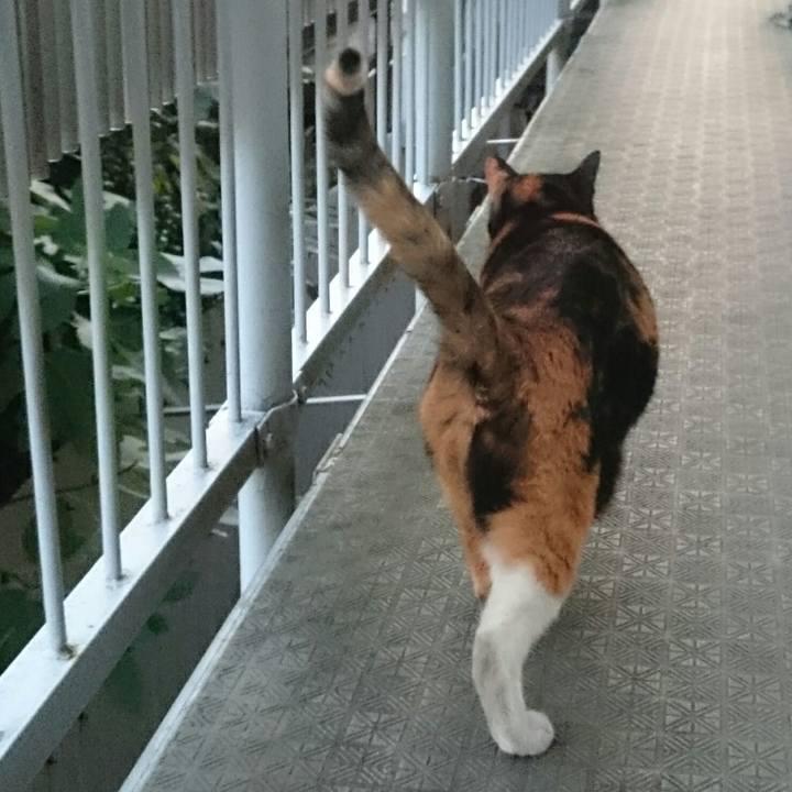 D78f21b3 afe3 4862 adc5 0f3750f0bf35 1511322929856