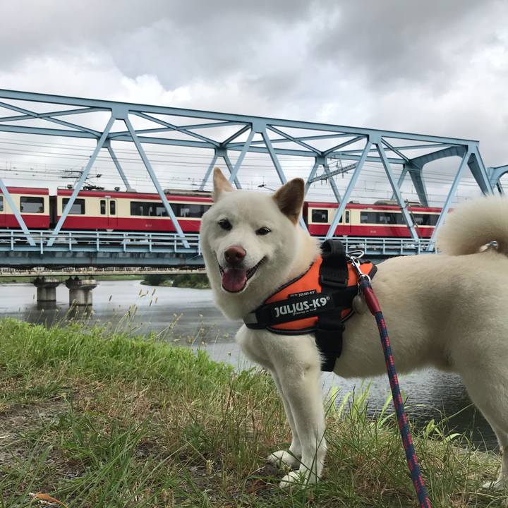 D78f2800 8bbe 4520 ba45 cad0d1039dd0 1530664348578