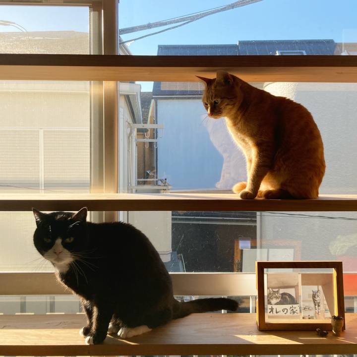 D78f41b5 218b 4558 a565 e268eded7785 1639786212207