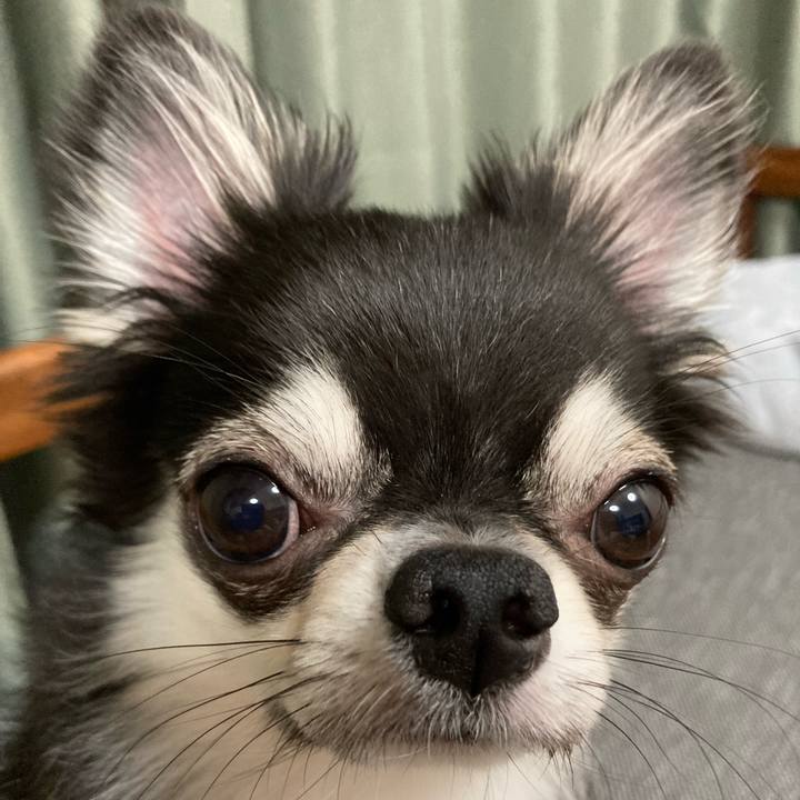 D78f49bf f6e8 4670 8920 958355df3057 1628865015990