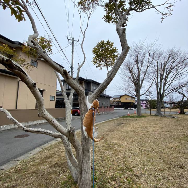 D78f5230 b34b 4844 8b8a 71e999a70071 1583629683977