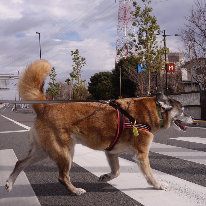 D78f5c8e be61 447f 8b52 38ae7b5a0e60 1553130192265