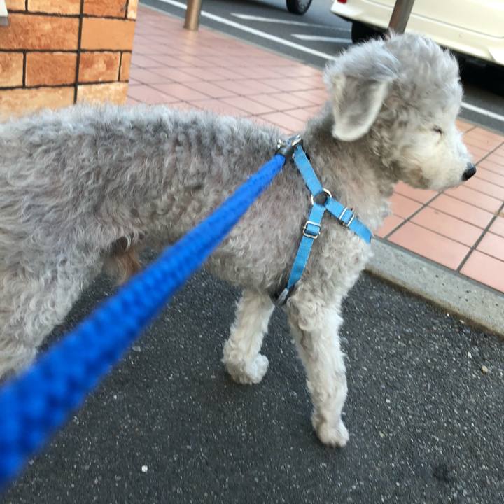 D78f7727 7581 4b43 b006 933e0112dda0 1591521858869