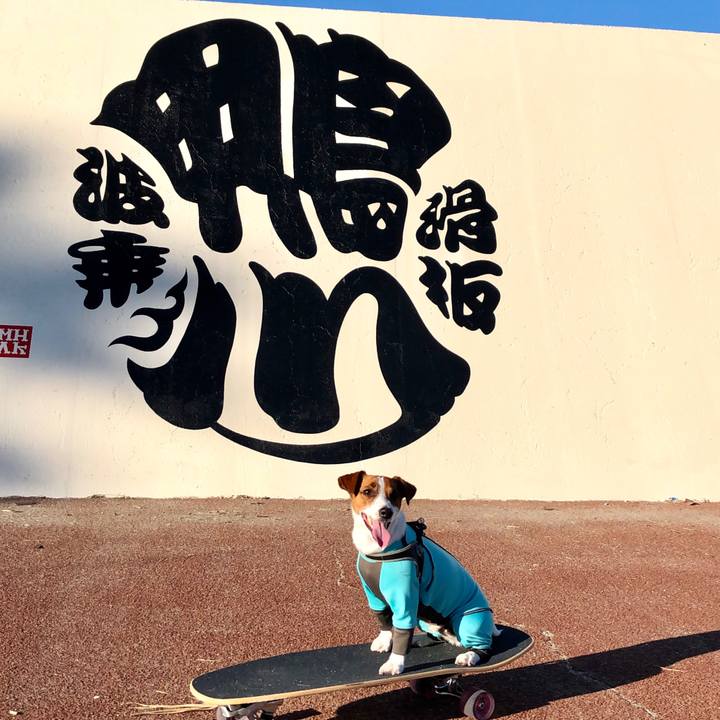 D78f98c2 9372 408c b195 99e5a631c61f 1575894346549