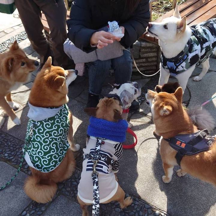 D78fbe2e a77a 4dc4 8be8 af32f724dfcb 1676720326941