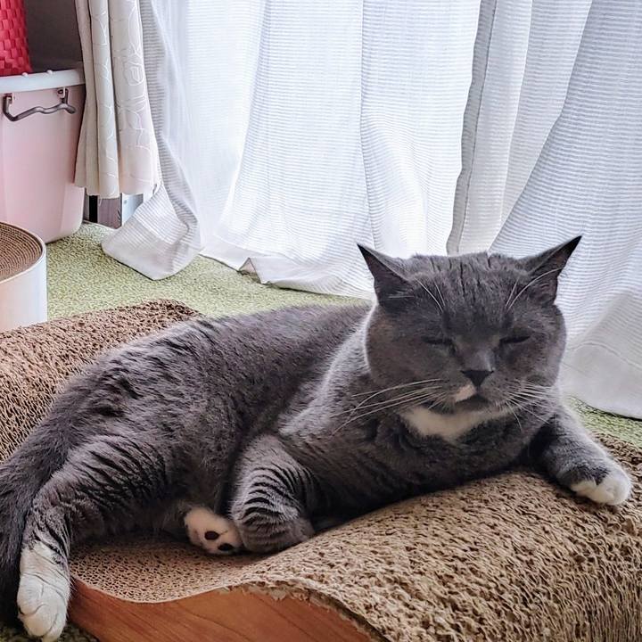 D78fe6b7 6e59 4bd2 aa10 c1c9aceb5ca8 1749946960655