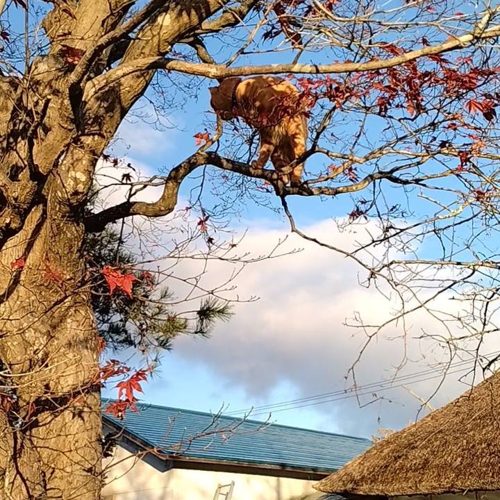 D78ffda3 5c5c 4b65 bd6f 277431b8b15d 1668377857061