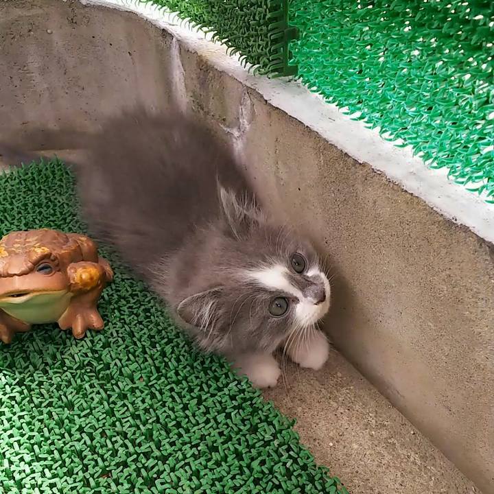 D7906d14 272d 44a7 bfc9 27c91ef5b55f 1560490170694