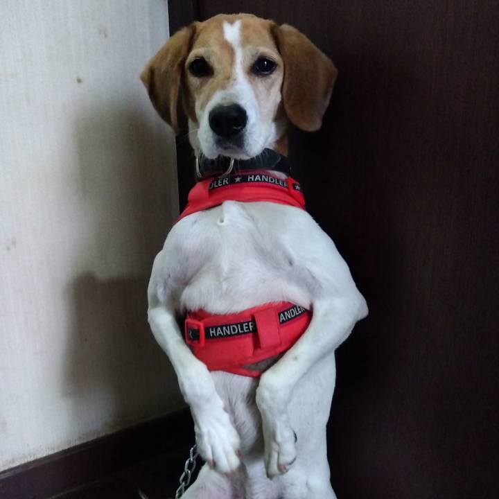 D790771e 0a79 445a af9f d6026f7f1a3b 1702781928667