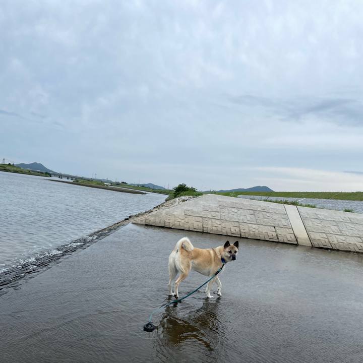 D79086c4 bd91 4561 bdb5 fa67fc2510bd 1686395653872