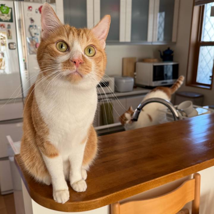 D7909caf df11 4726 bc60 626f065536d6 1767914080186