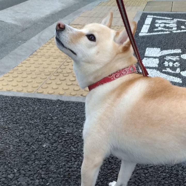 D790a0bd dfb2 47e9 8b80 ce07490990fc 1603842903608