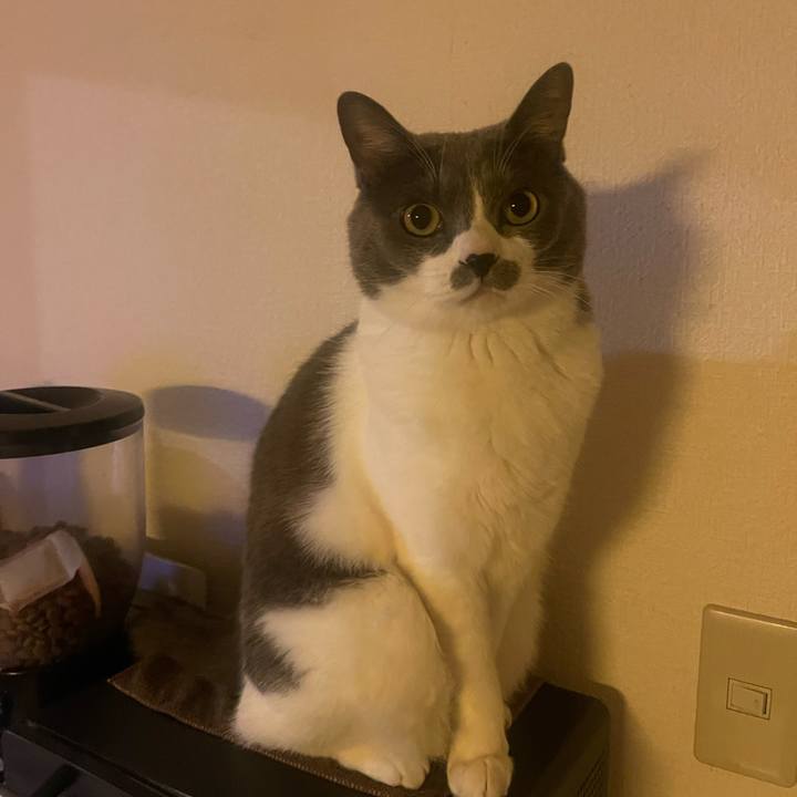 D790a889 8fbc 42af bc0b 3465519360cf 1733480186886