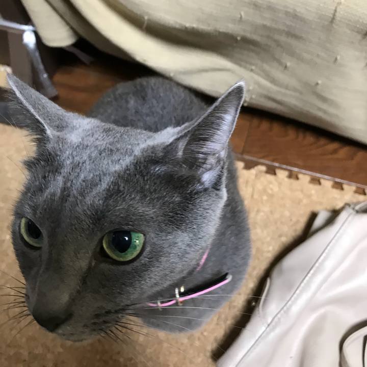 D790a96e e353 4ca9 bccd f4be184c4bd0 1511857933347