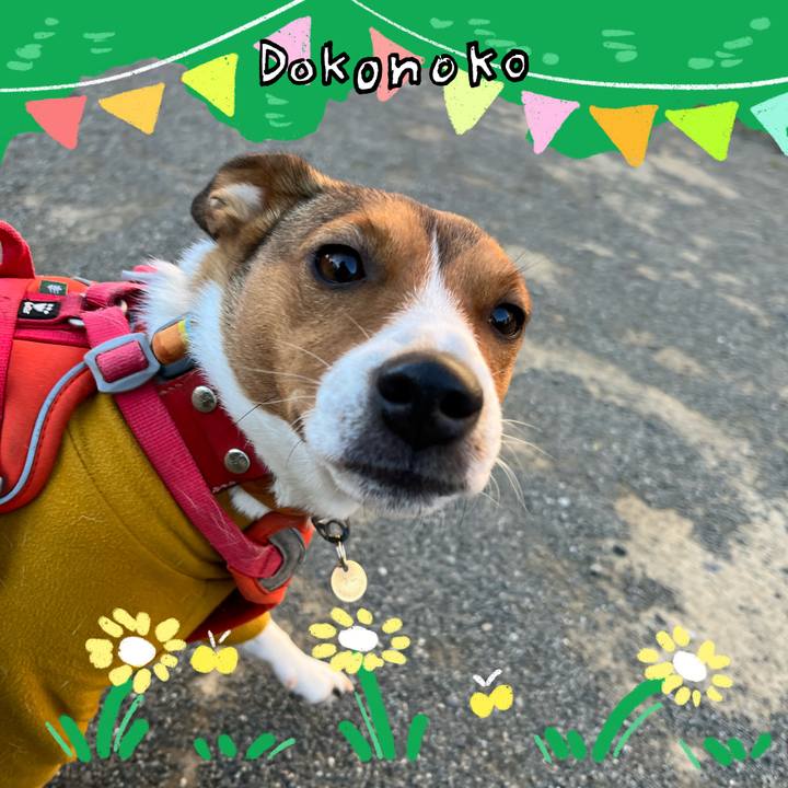 D790a9c7 4ae5 40e2 9008 4b2897b3c8de 1710992624330